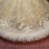Rochiță de botez elegantă cu dantelă ivoire și volănaș ( 3-6-9 luni)